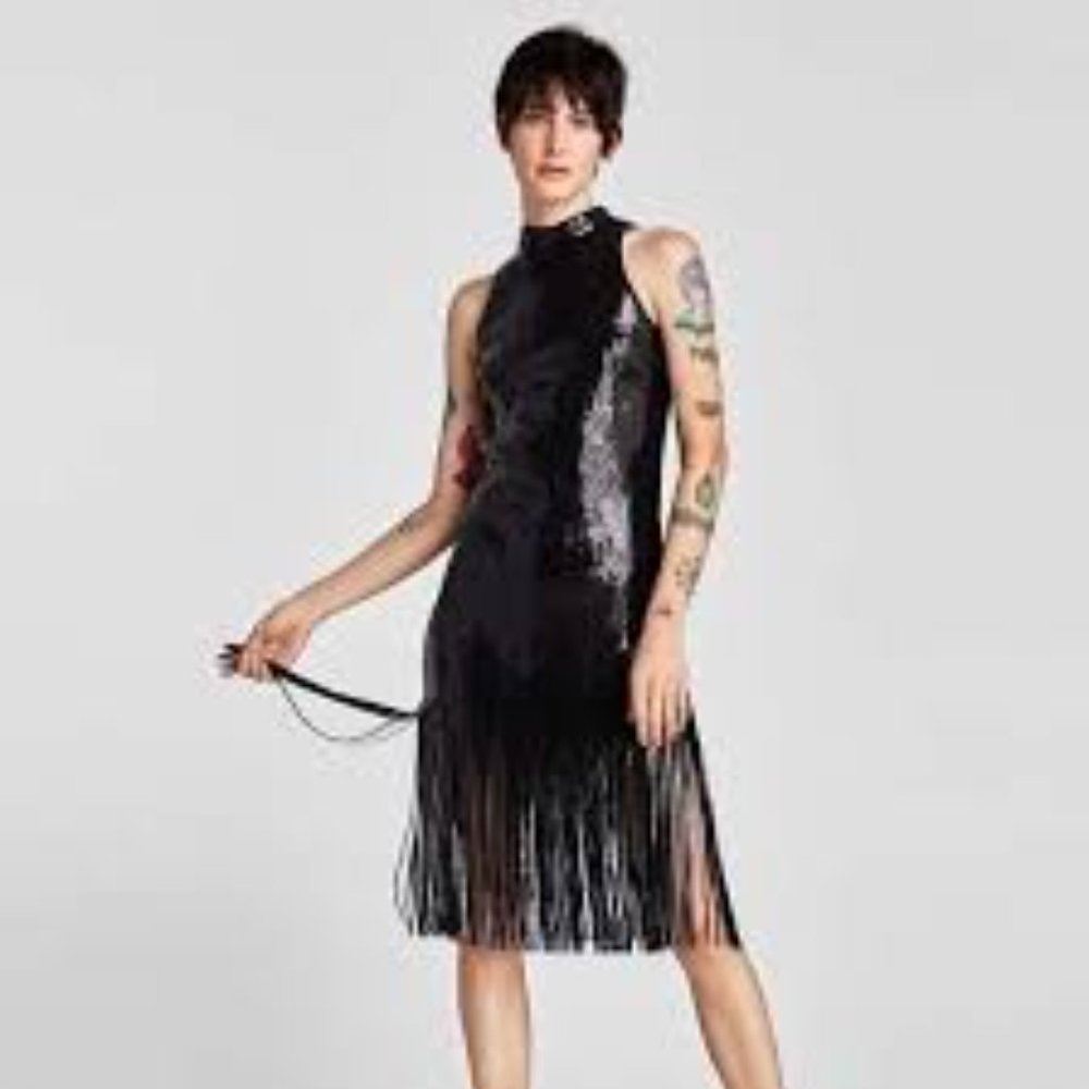 Zara | NWOT Sequin Fringe Dress